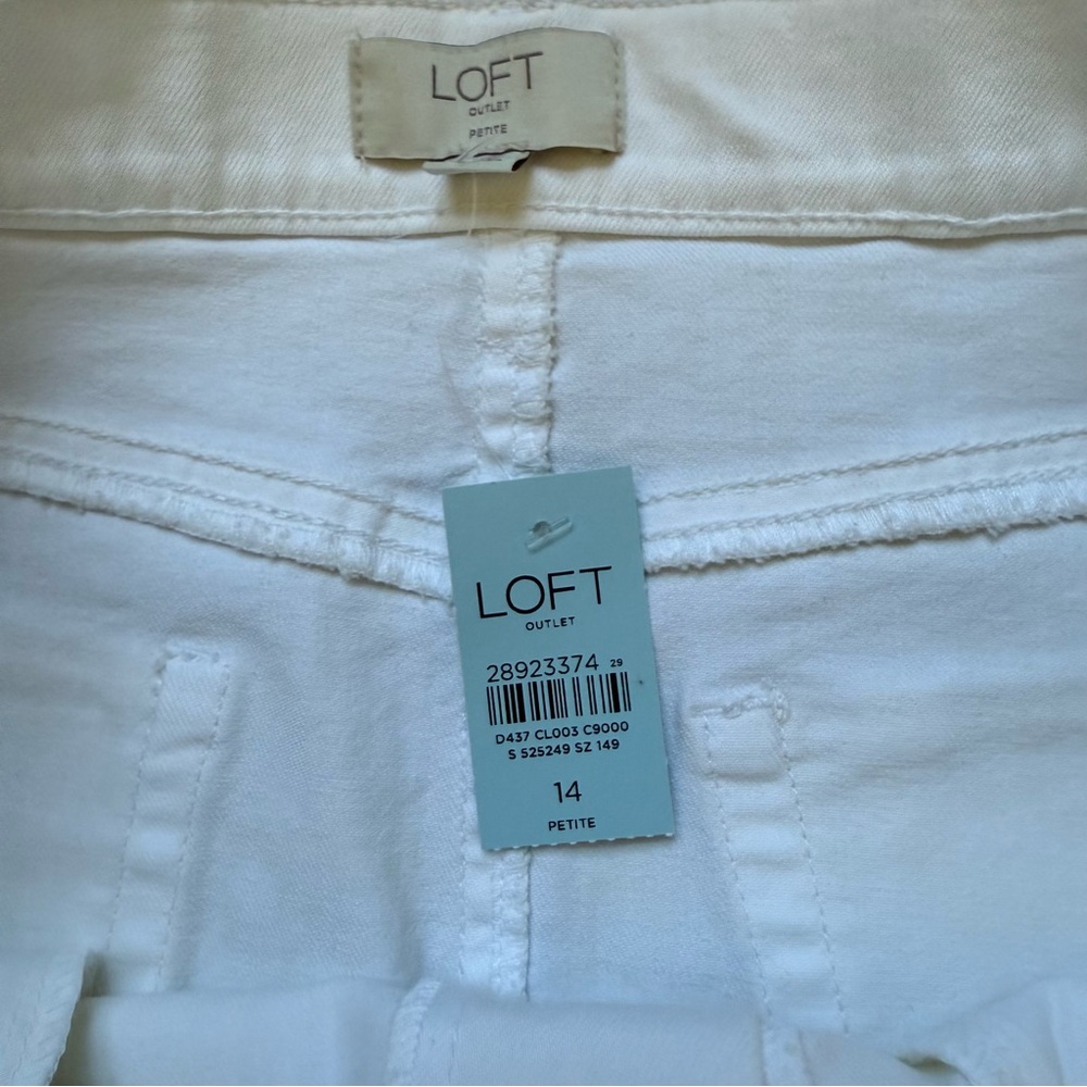 NWT Loft Size petite 14 skirt - Picture 2 of 6